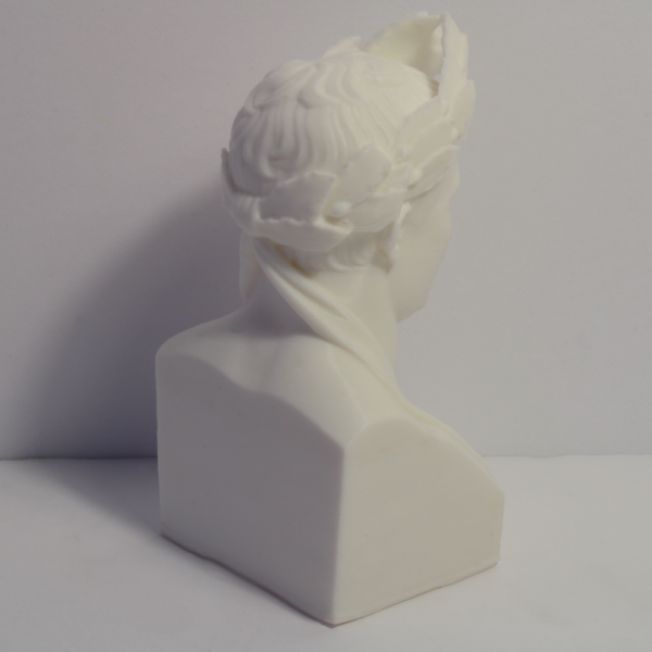 Napoleon Bonaparte Bust – Laurel Wreath Edition – 4 Inches - Image 3