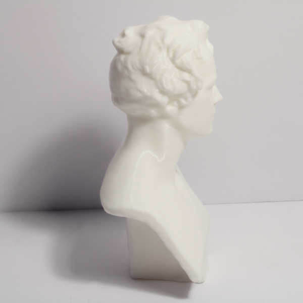 Friedrich Wilhelm Heinrich Alexander von Humboldt Bust - 4 Inches - Image 2