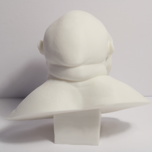 Nutcracker Man Bust - Early Hominin - 4 Inches - Image 4
