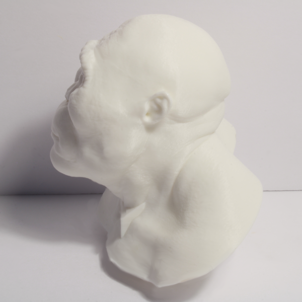 Nutcracker Man Bust - Early Hominin - 4 Inches - Image 2