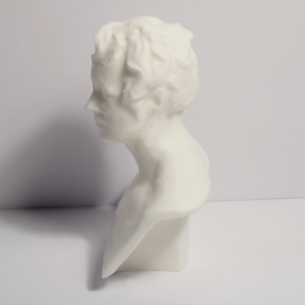 Friedrich Wilhelm Heinrich Alexander von Humboldt Bust - 4 Inches - Image 4