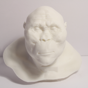 Nutcracker Man Bust - Early Hominin - 4 Inches