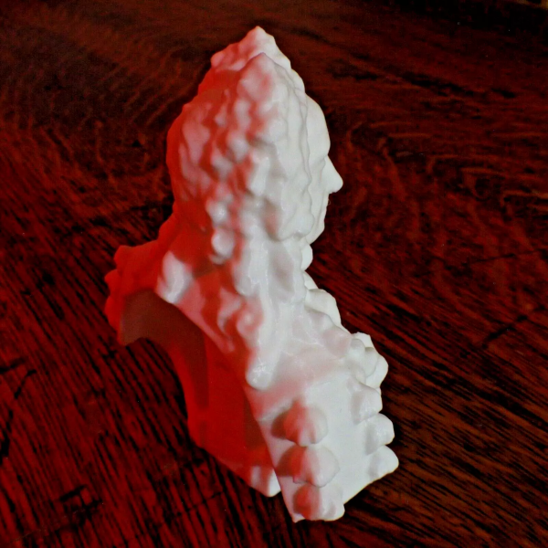 Sir Hans Sloane Bust - 4 Inches - Image 4