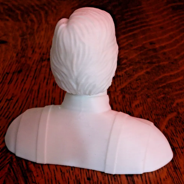 Tim Allen Bust - Tim "The Toolman" Taylor - 4 Inches - Image 2